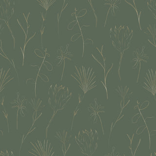 Muestra - Sherston